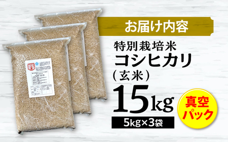 特別栽培米コシヒカリ 真空パック玄米15kg（5kg×3袋） お米 こしひかり ご飯 コシヒカリ おこめ 三次市/小川モータース[APCH006]