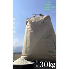 【毎月定期便】養老町産　岐阜ハツシモ　30kg　白米　全3回