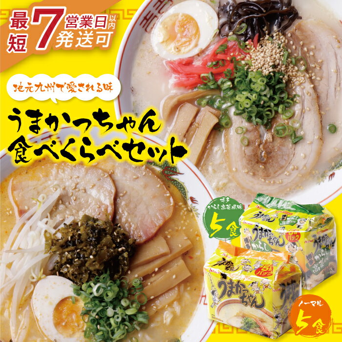【ふるさと納税】うまかっちゃん 博多からし高菜・豚骨ラーメン食べ比べセット（5食×2）計10食 最短発送 博多ラーメン とんこつ インスタント 袋ラーメン ご当地 拉麺 高菜 福岡 送料無料