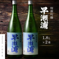 【早瀬浦】特撰吟醸酒　1800ml×2本 セット