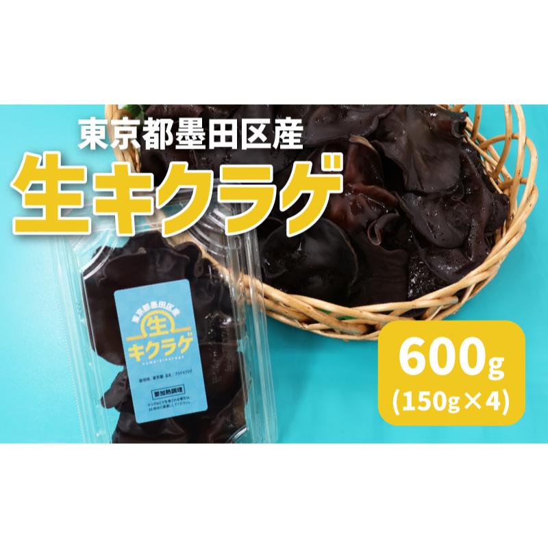 【ふるさと納税】東京都墨田区産　生キクラゲ600g（150g×4パック）　食品 野菜 きのこ キノコ きくらげ キクラゲ 木耳 純国産 新鮮 プリプリ 肉厚 サラダ 和え物 炒め物 鍋　お届け：2025年5月上旬～12月上旬まで