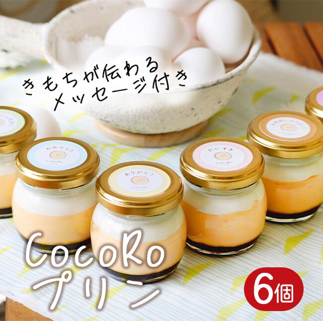 【ふるさと納税】CocoRoプリン6個セット（ギフト包装＋メッセージシール付き）｜茨城県 つくば市 プリン スイーツ 生クリーム カスタードクリーム バニラ 牛乳 卵 国産 甘味 お菓子 デザート ギフト