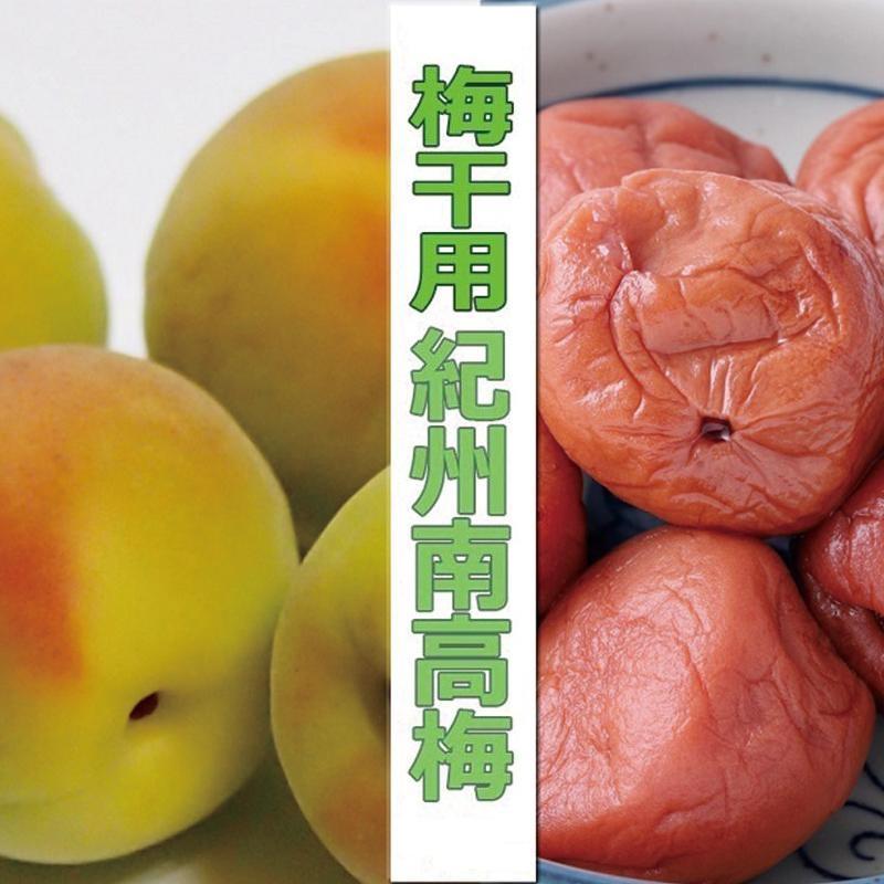 【ふるさと納税】［梅干・梅酒用］（4Lまたは3L－2Kg）熟南高梅＜2026年6月上旬～7月7日発送予定＞フルーツ 果物 くだもの 食品 人気 おすすめ 送料無料［ART10］