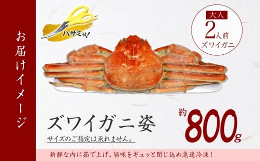 お届けイメージです。