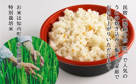 うにの炊き込みごはん ～ 雲丹まんま ～ ×６＜海峡の宿 然＞