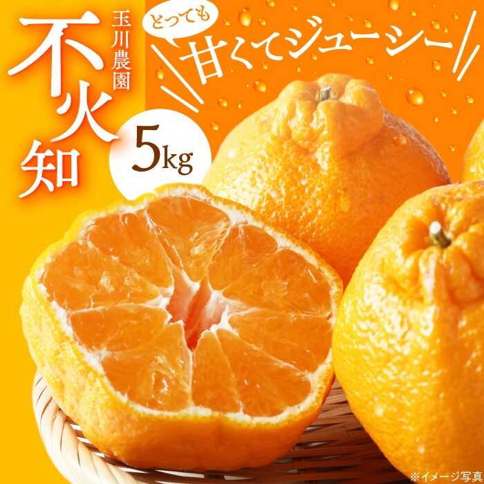 【ふるさと納税】【先行予約】【2026年3月上旬から順次発送】不知火 5kg | 人気 おすすめ ランキング おいしい 甘い 果物 フルーツ みかん ミカン 大洲市/玉川農園[AGBC003] 10000 10000円 以上