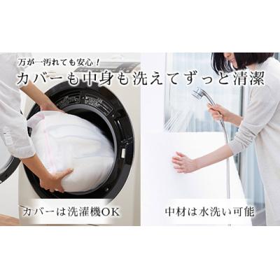 ふるさと納税 幸田町 エアウィーヴ キャリークッションmini | airweave おすすめ エアウィーブ |  | 03