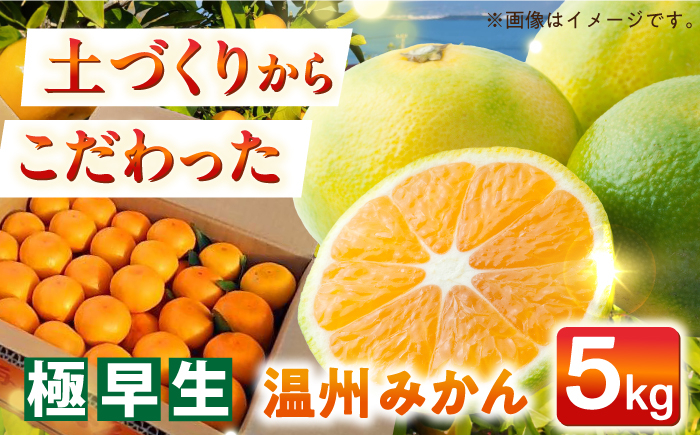 
                  【自然の力を活かした栽培】温州みかん（極早生） 5kg -2026年10月下旬より発送- 長与町/農事組合法人希望種（きぼうのたね） [ECQ001] 先行予約 みかん ミカン 蜜柑 柑橘 かんきつ 温州みかん 果物 くだもの フルーツ 極早生みかん ミカン 蜜柑 長崎 長崎県産  
                