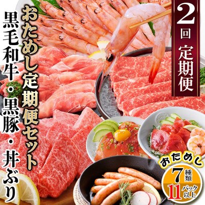 定期便2回配送　鹿児島県産黒毛和牛・黒豚・漬丼　お試し定期便セット DD−6007【配送不可地域：離島】【1486099】