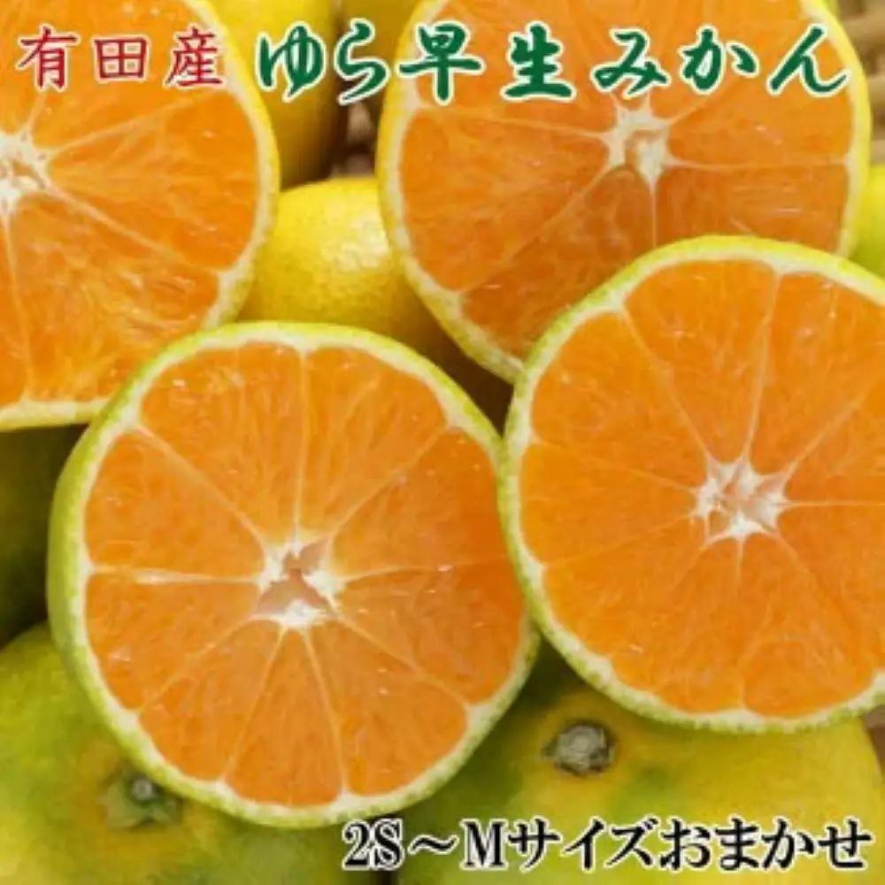 ［極早生みかんの逸品］有田産ゆら早生みかん約5kg★2026年10月中旬頃より順次発送