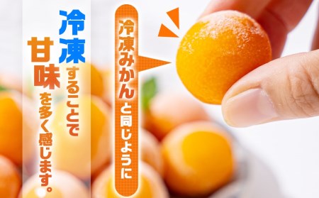 完熟きんかんのフローズンセット_AA-J701_(都城市) 氷結きんかん 完熟きんかんマカロン 急速冷凍 浅井万十店（都城市）と内山金柑園のコラボ