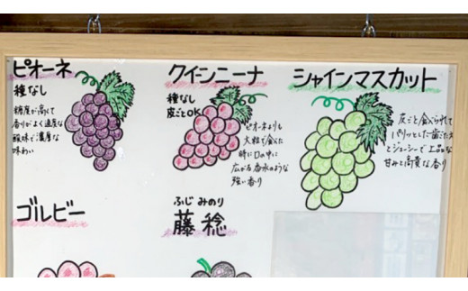 《 種なし 》 クイーンニーナ 約1.5kg 3～4房 (茨城県共通返礼品 かすみがうら市) 久保田果樹園 産地直送 フルーツ 甘い 直送 茨城 限定 ギフト ぶどう クイーンニーナ 果物 [DH00