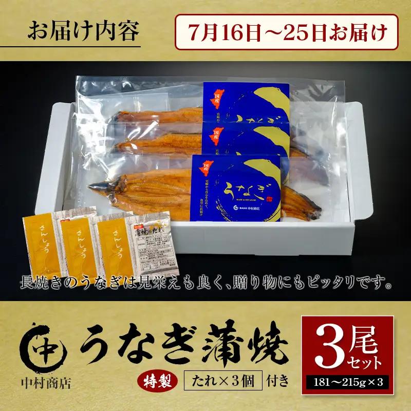 【土用の丑の日】うなぎ蒲焼3尾セット 計543g以上 中村商店