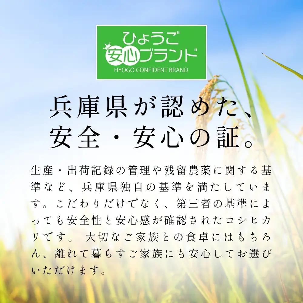 コシヒカリ〈スピード発送〉新米 丹波コシヒカリ〈低農薬 80%減〉特別栽培米 5kg コシヒカリ