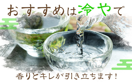 腰古井 大吟醸 1.8L 1本 有限会社 滝口商店《30日以内に出荷予定(土日祝除く)》千葉県 勝浦市 日本酒 酒 大吟醸
