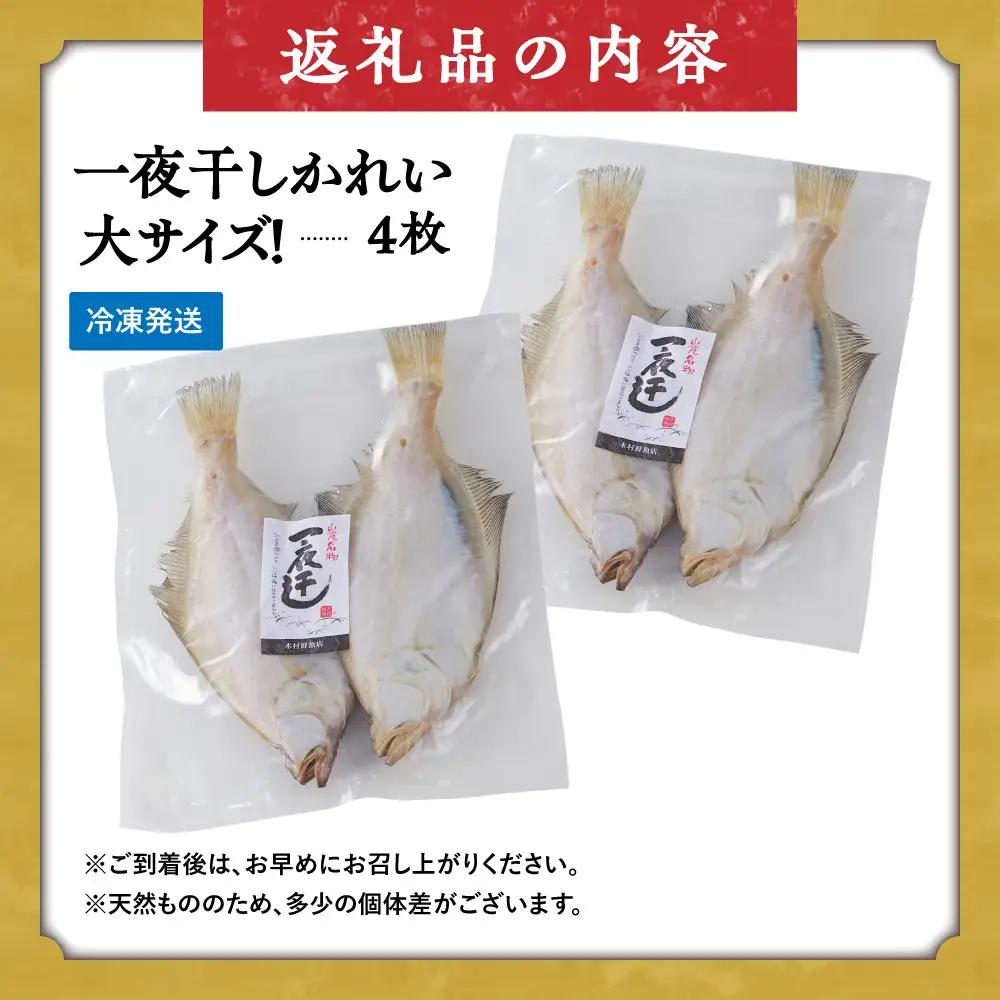 一夜干しかれい 大サイズ！(4枚)【鳥取県 境港市】