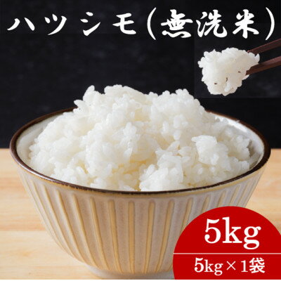 【ふるさと納税】ハツシモ(無洗米)5kg【選べるお届け回数/1回・2回・3回・4回・5回・6回・9回・12回定期便】【配送不可地域：離島】【G1540849】