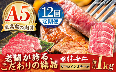【12回定期便】黒毛和牛サーロインステーキ 1000g AMBW032 黒毛和牛ステーキ 黒毛和牛ステーキ 黒毛和牛ステーキ 黒毛和牛ステーキ 黒毛和牛ステーキ 黒毛和牛ステーキ