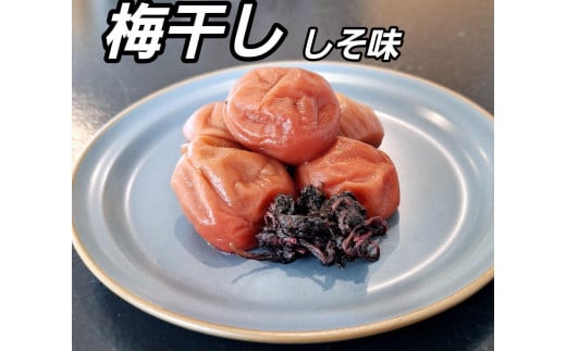 訳あり 梅干し 大粒 大玉 つぶれ梅 しそ梅 約1kg (500g×2) 塩分10%