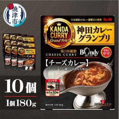 ふるさと納税 焼津市 神田カレーグランプリ 欧風カレーボンディ　チーズカレー×10個(a16-207)