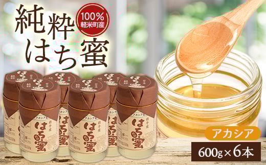 ＜100%軽米町産＞天然ハチミツセット(アカシア蜜の600g6本)【1070551】