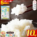 【ふるさと納税】★14年連続最高評価特A受賞米 さがびより★ 令和5年産 10kg ( 5kg ×2袋)【米 お米 コメ こめ 国産 美味しい ブランド米 人気 ランキング】(H015181)