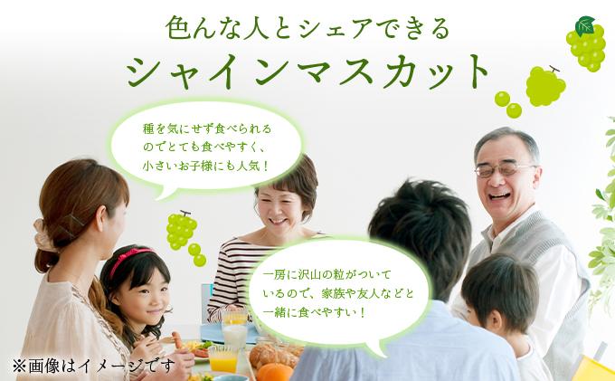 ＜2025年発送分 先行予約＞9月〜10月発送お土産シャインマスカット2kg箱【029-a008】