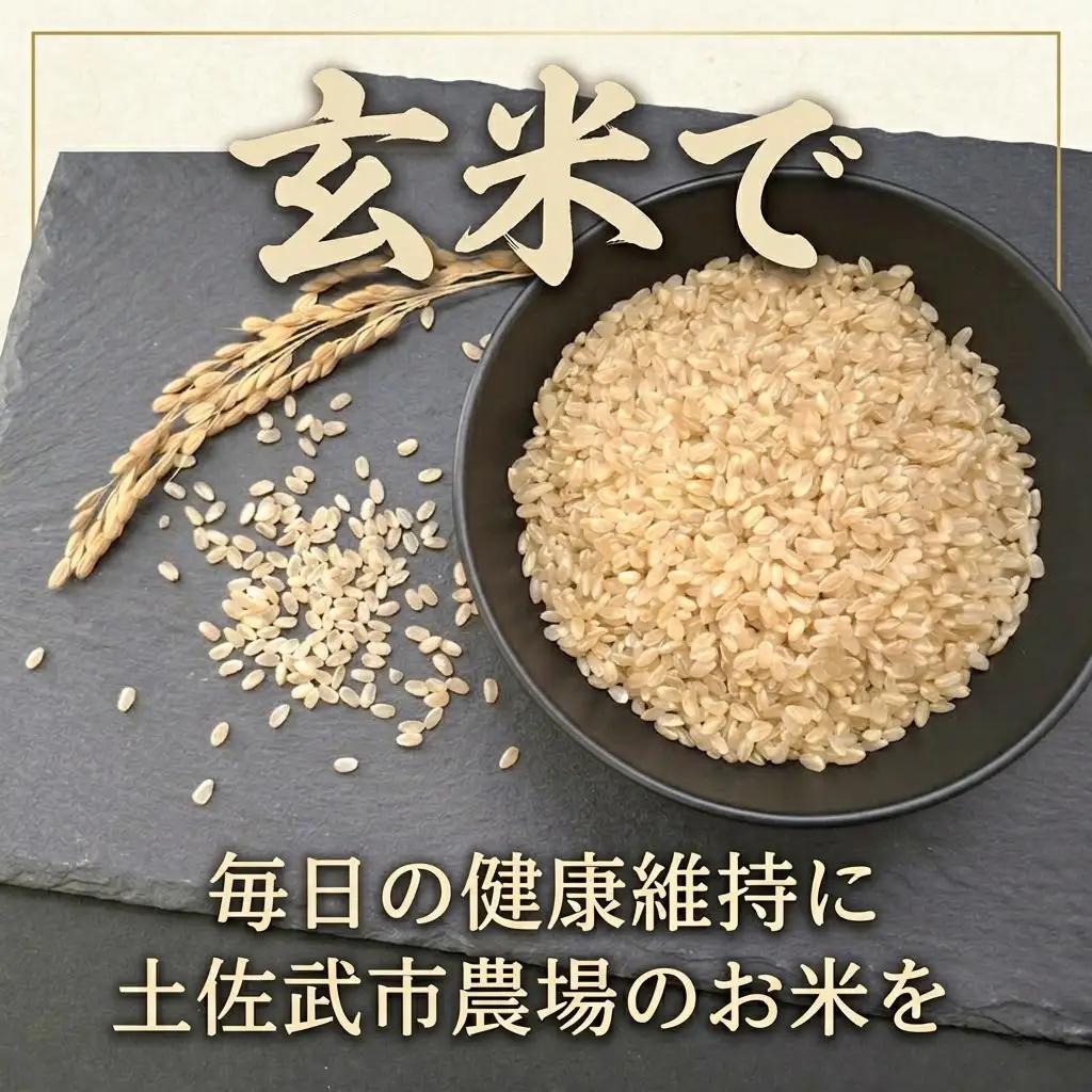 新米 【12回定期便】 特別栽培米 令和8年度産 コシヒカリ 玄米 5キロ