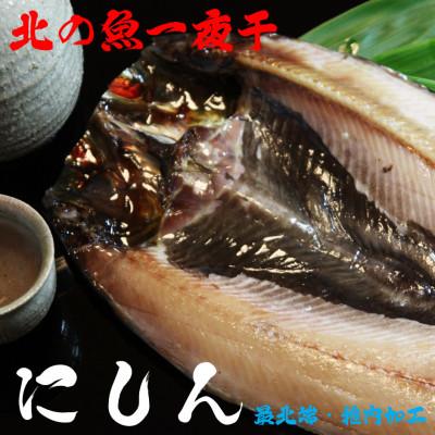 ふるさと納税 稚内市 【 北海道 の 居酒屋 気分!】 一夜干し 開き にしん 5枚セット 稚内