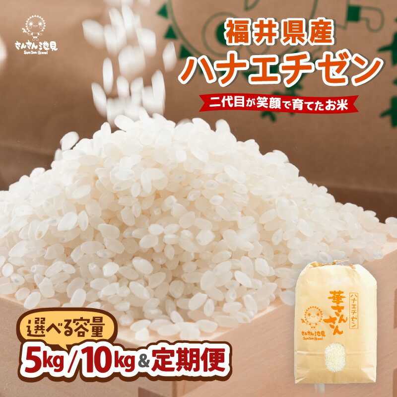 【ふるさと納税】【令和7年産・新米】福井県産 ハナエチゼン 5kg / 10kg 【選べる内容量・精米方法・配送回数】 〜坂井市三国町産・こだわりの精米対応〜 【お米 定期便 6ヶ月 12ヶ月 無洗米 玄米 白米 5キロ 10キロ ふるさと納税米 産地直送】