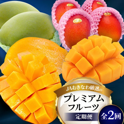 【発送月固定定期便】2026年発送 JAおきなわ厳選のプレミアムフルーツ定期便全2回【配送不可地域：離島】