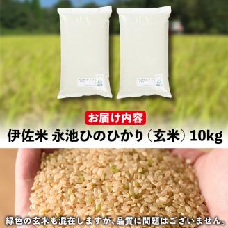 isa199 令和5年産 特別栽培米 永池ひのひかり玄米(10kg)【エコファーム永池】