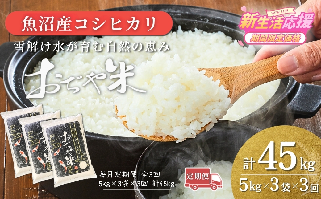 令和7年産 新潟県 魚沼産コシヒカリ「おぢや米」合計45kg(5kg×3袋×毎月お届け全3回)   JA魚沼【0002-JA20DB00-02】