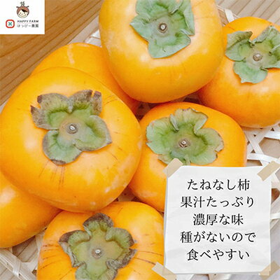 【ふるさと納税】【令和8年10月上旬から発送】たねなし柿L～2Lサイズ(16～18個入り)【配送不可地域：離島】【1410559】