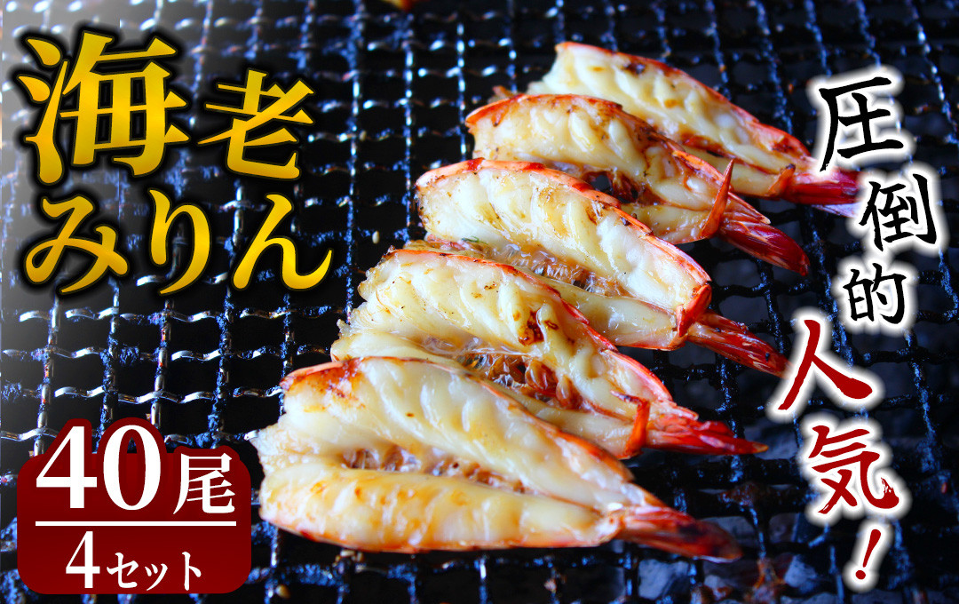 
            旭洋丸水産 海老みりん 4セット　【 伊豆 海老 えび 海鮮 みりん干し みりん 海老みりん ブラックタイガー 大人気 無添加 冷凍 干物 手作り ひもの 静岡県産 】 　<AC-6>
          