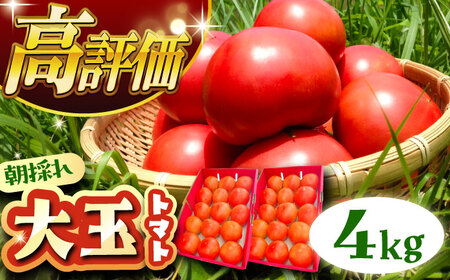 【先行予約】訳あり大玉トマト 4kg / 恵那市 / クリエイティブファーマーズ [AUAH016]