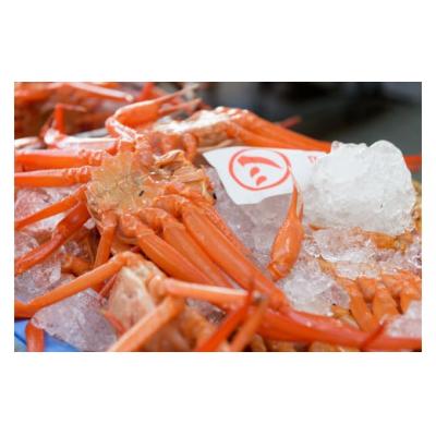 ふるさと納税 米子市 カット済〈生〉紅ずわい蟹1.5kgセット　数量限定　調理簡単 |  | 02