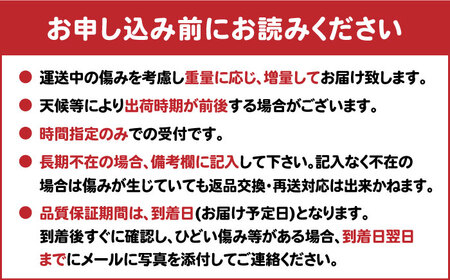 完熟 太良みかん 計3kg（2.6kg＋400g傷み保証分） / 佐賀県 / 山本農園 [41ATBT002]