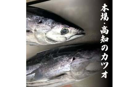 訳ありカツオ タタキ 1.5kg 12ヶ月定期便