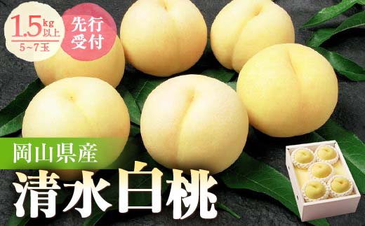 ◆先行受付◆　岡山県産　清水白桃5～7玉　2026年発送【1349770】