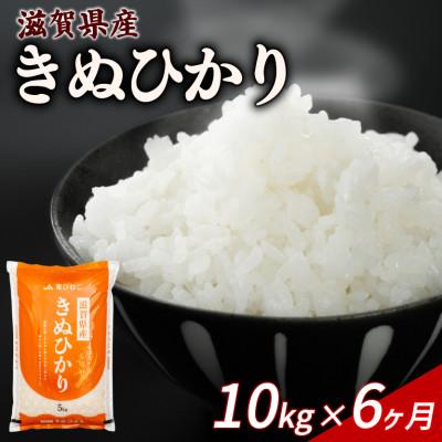 ふるさと納税 彦根市 【毎月定期便】きぬひかり 10kg 【滋賀でとれたお米、近江米!】全6回
