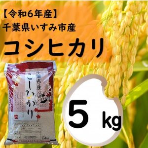 【令和6年産米】　千葉県いすみ市産　コシヒカリ精米5kg【1546630】