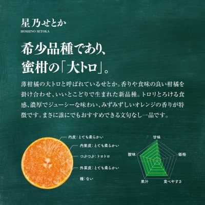 【訳あり】星乃せとか 柑橘の大トロ(3kg)【C45−87】【1535970】