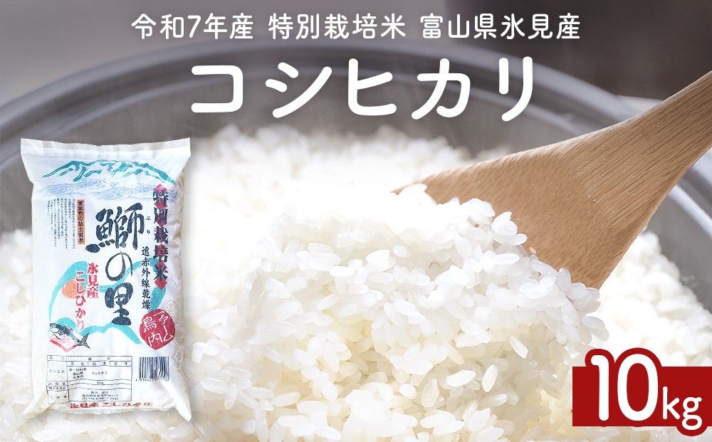 
            〈令和7年産 特別栽培米〉 富山県産コシヒカリ 10kg 鰤の里 白米
          