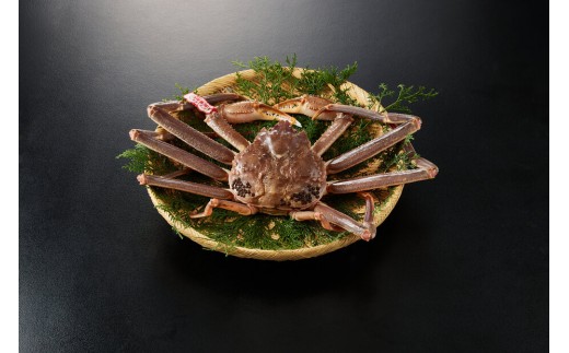 ＜11月中旬～3月中旬発送予定＞＜期間限定＞活松葉ガニ 特々大 1.2kg以上