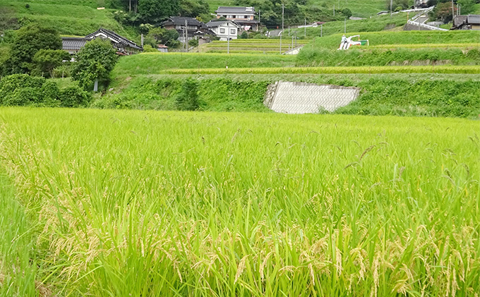 岡野さんが作ったおいしいお米 あきたこまち 9kg（3kg×3袋）岡野ファーム  直送！せとうちバスケット 岡山県産