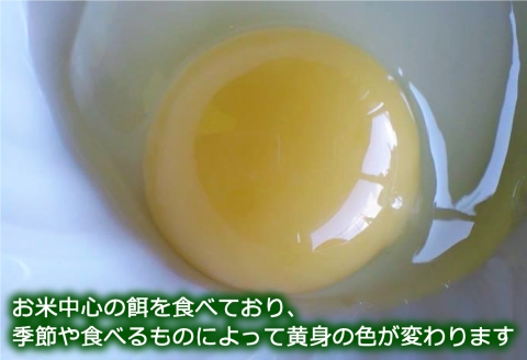 卵 平飼い 有精卵 ふぁーむbuffo 30個