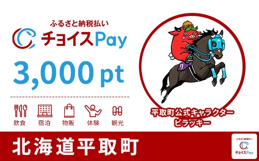 
                  平取町チョイスPay 3,000pt【会員限定のお礼の品】
                