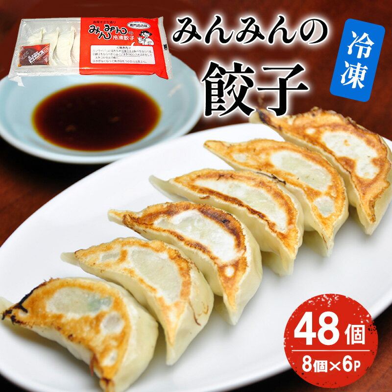 【ふるさと納税】みんみんの餃子48個 （8コ×6パック） 餃子専門店 みんみん みんみん餃子 ギョーザ ぎょうざ ギョウザ 富山 惣菜 おかず 中華 点心 冷凍 冷凍食品 肉加工品 加工品 富山県高岡市