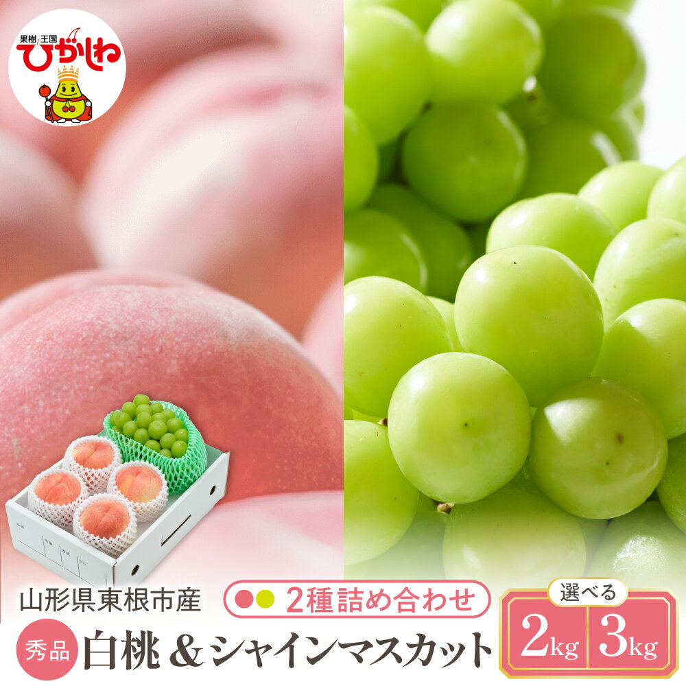 【ふるさと納税】2026年 先行予約 白桃 & シャインマスカット 詰め合わせ ( 選べる : 約 2kg / 約 3kg )| 桃 品種おまかせ ぶどう 葡萄 マスカット フルーツ くだもの 果物 セット 箱入り 化粧箱 期間限定 大容量 先行予約 取り寄せ ご当地 特産 産地 直送 送料無料